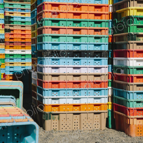 Stacks of multi-colored containers used for harvesting grapes