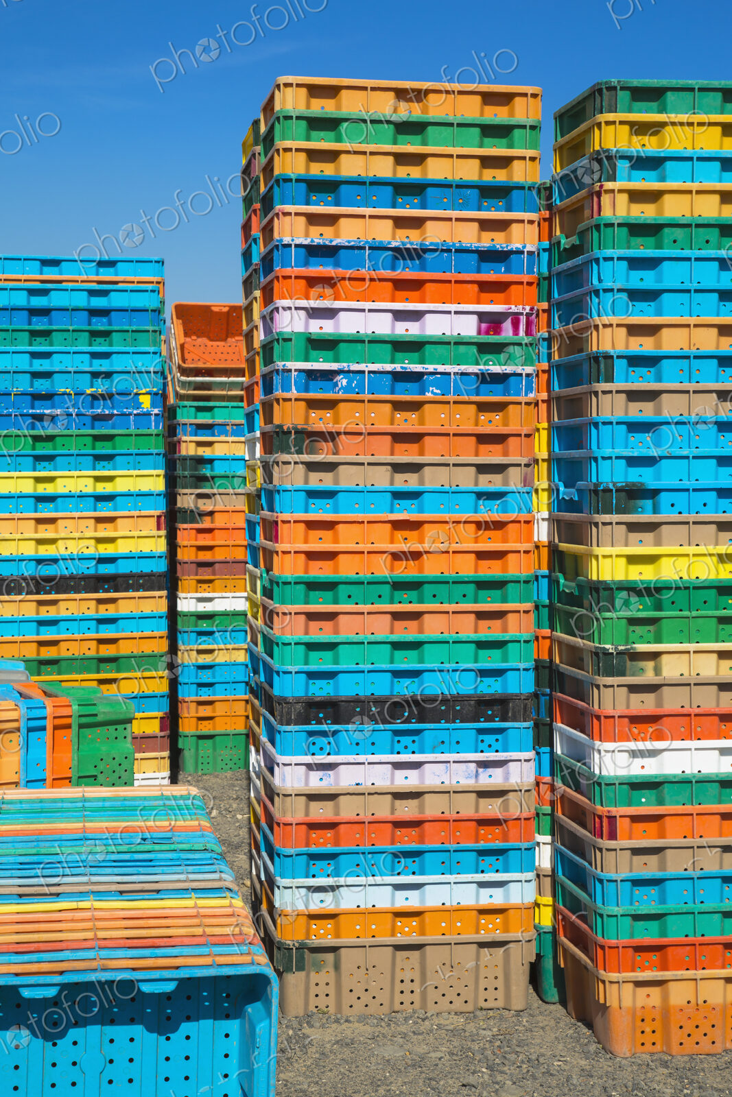 Stacks of multi-colored containers used for harvesting grapes