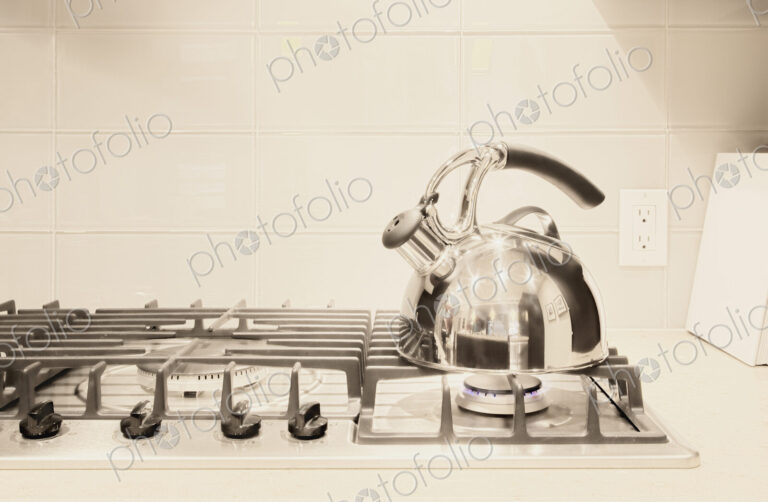 Stainless steel tea kettle on stove