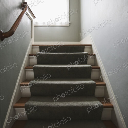 Stairs with carpet and handrail.