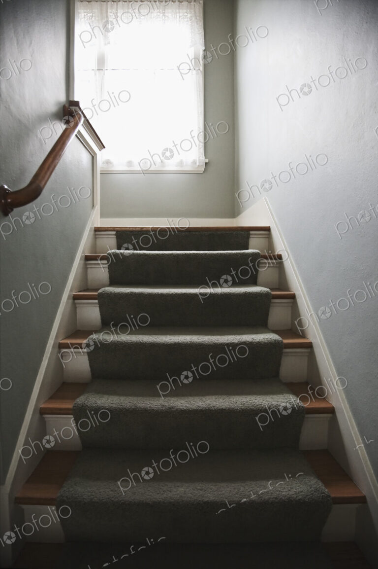 Stairs with carpet and handrail.