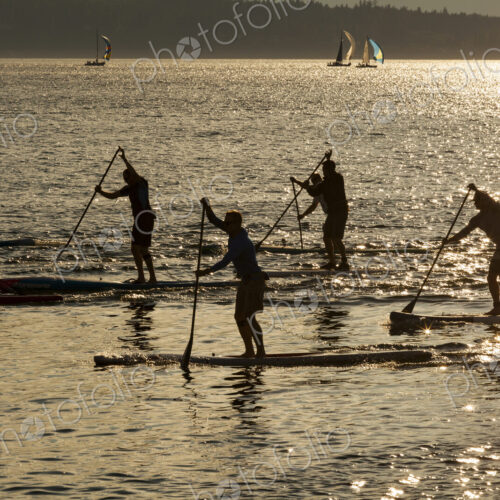 Stand up paddle borders racing on Puget Sound at dusk, outlines, reflections of light…