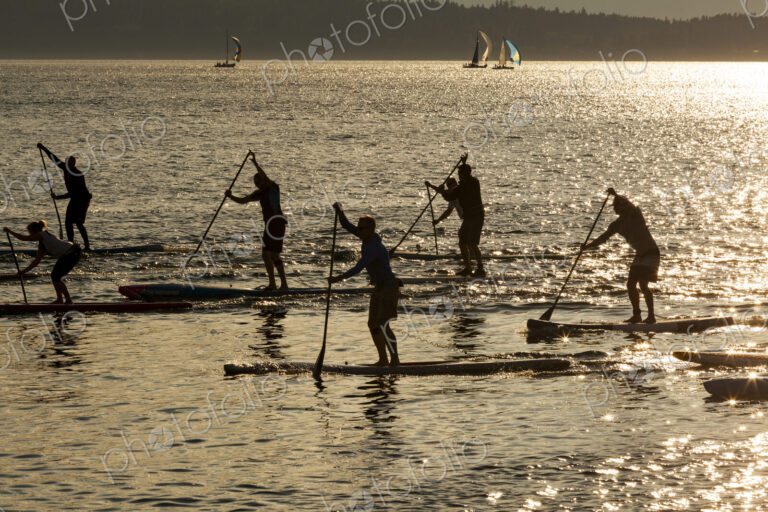 Stand up paddle borders racing on Puget Sound at dusk, outlines, reflections of light…