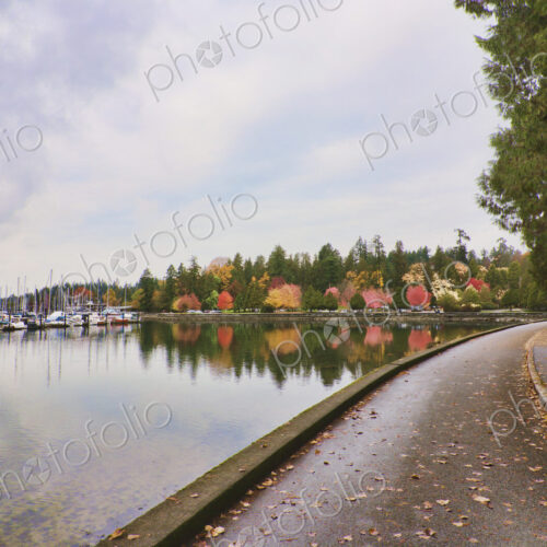 Stanley park in autumn, pathway along the waterfront, marina and woodland. Stanley park in autumn, pathway along the waterfront, marina and woodland.