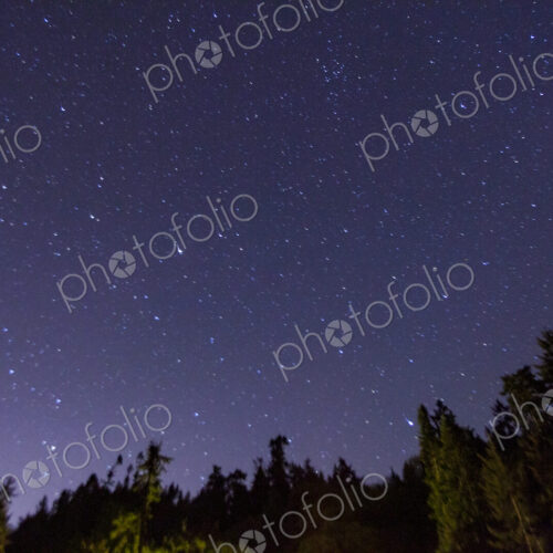Star filled sky above Port Angeles at night above the pine trees. Star filled sky above Port Angeles at night above the pine trees.