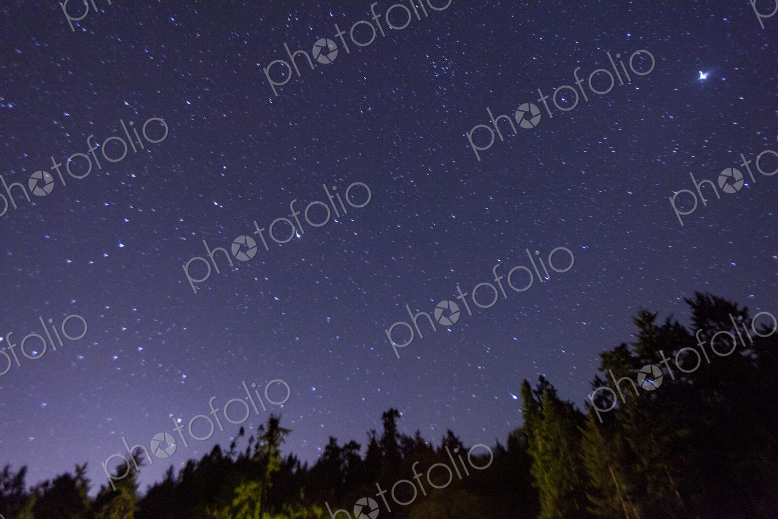 Star filled sky above Port Angeles at night above the pine trees.