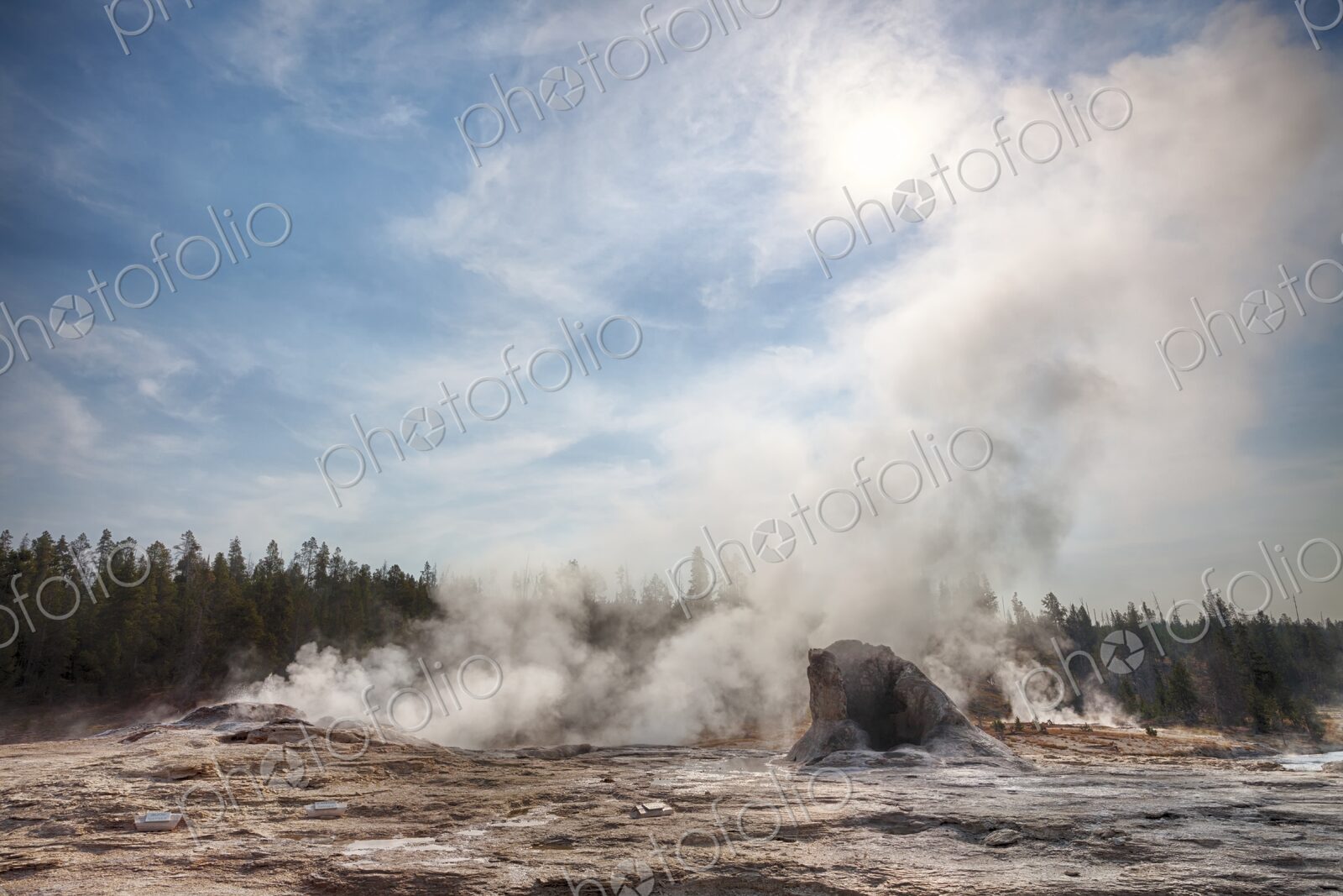 Steam from Mastiff Geyser in Upper Geyser Basin, Yellowstone National Park, Wyoming