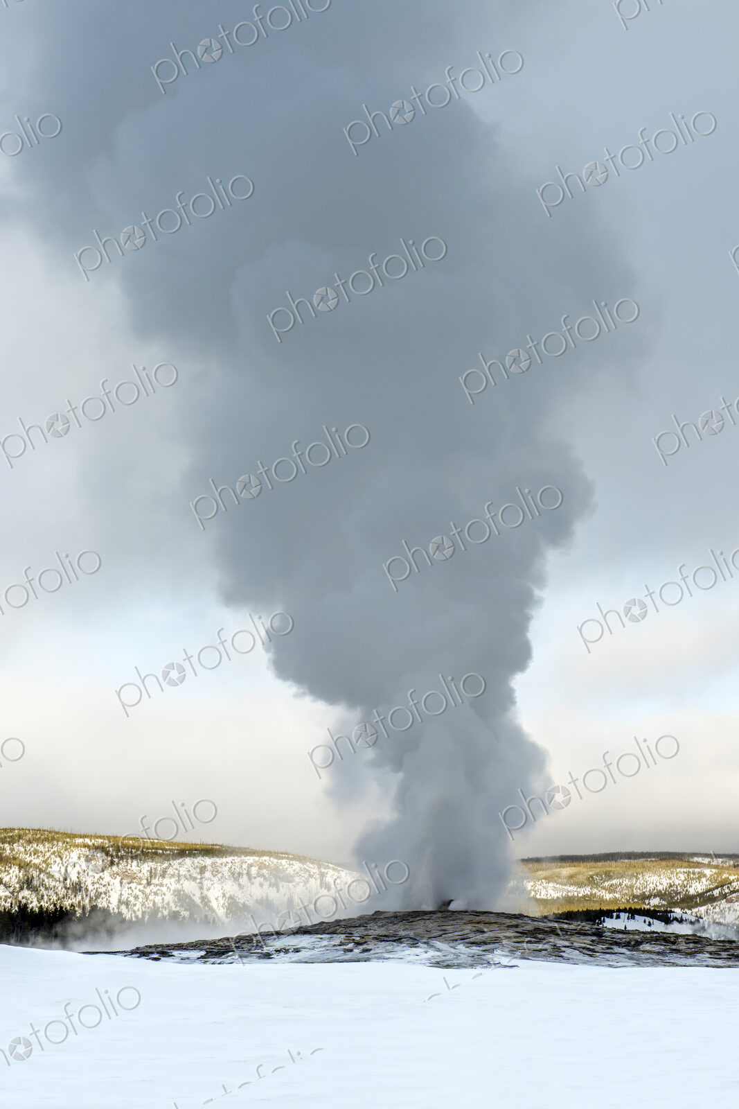 Steam rising from Old Faithful geyser, Yellowstone, Wyoming, United States