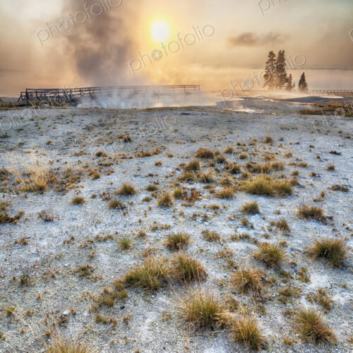 Steam rising from geyser at sunrise, Yellowstone National Park, Wyoming, United States Steam rising from geyser at sunrise, Yellowstone National Park, Wyoming, United States