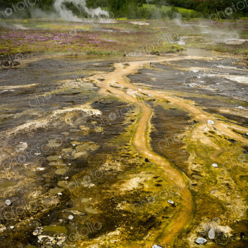 Steam rising from hot springs near a Geysir in an area of geothermal activity