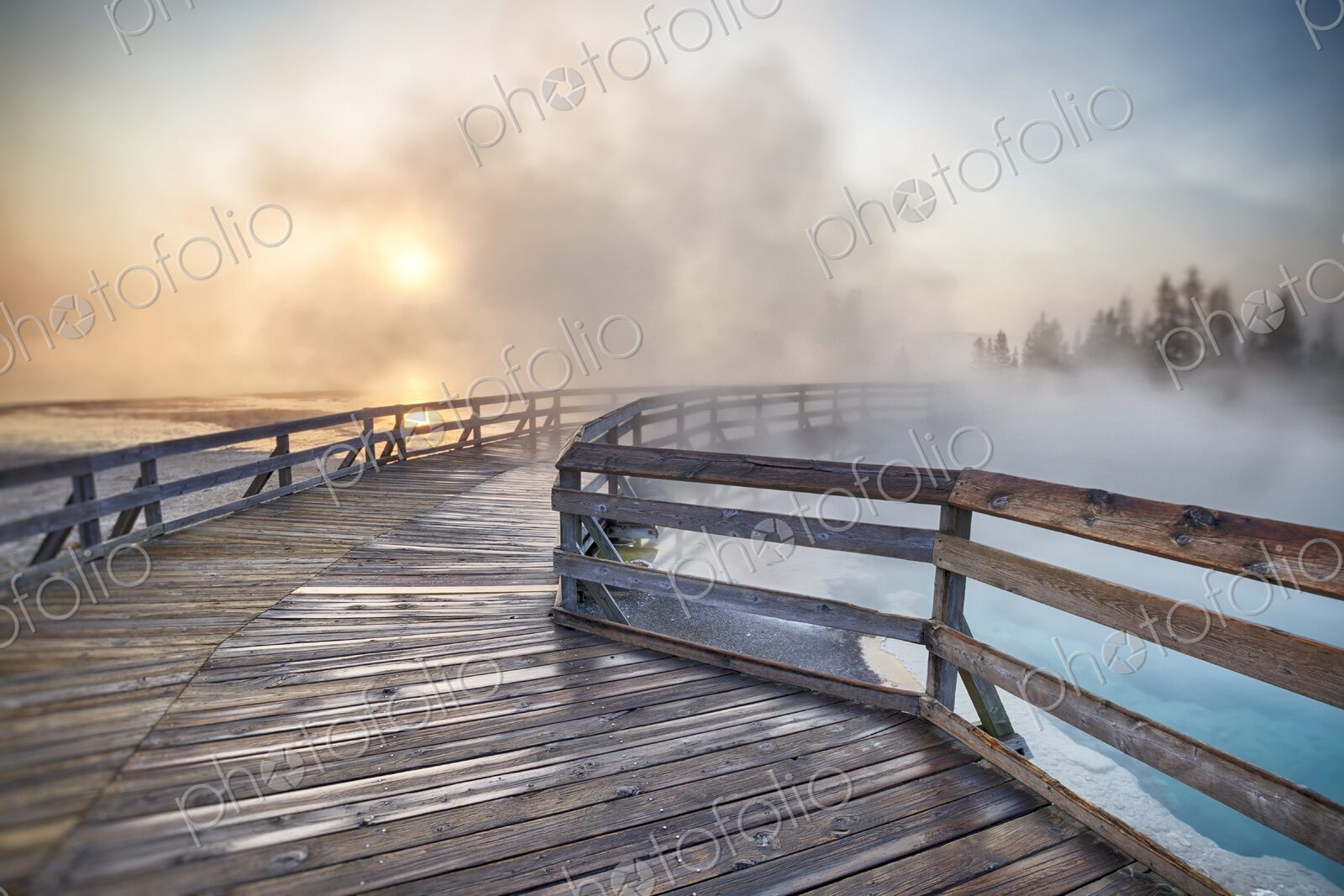 Steaming hot spring at sunrise with wooden boardwalk curving through West Thumb Geyser…