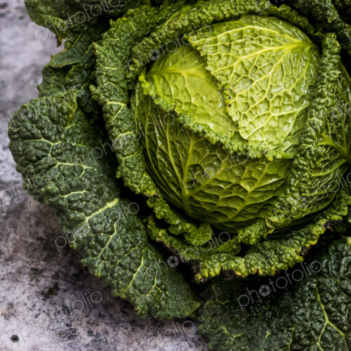 Still life, a fresh round green savoy cabbage Still life, a fresh round green savoy cabbage