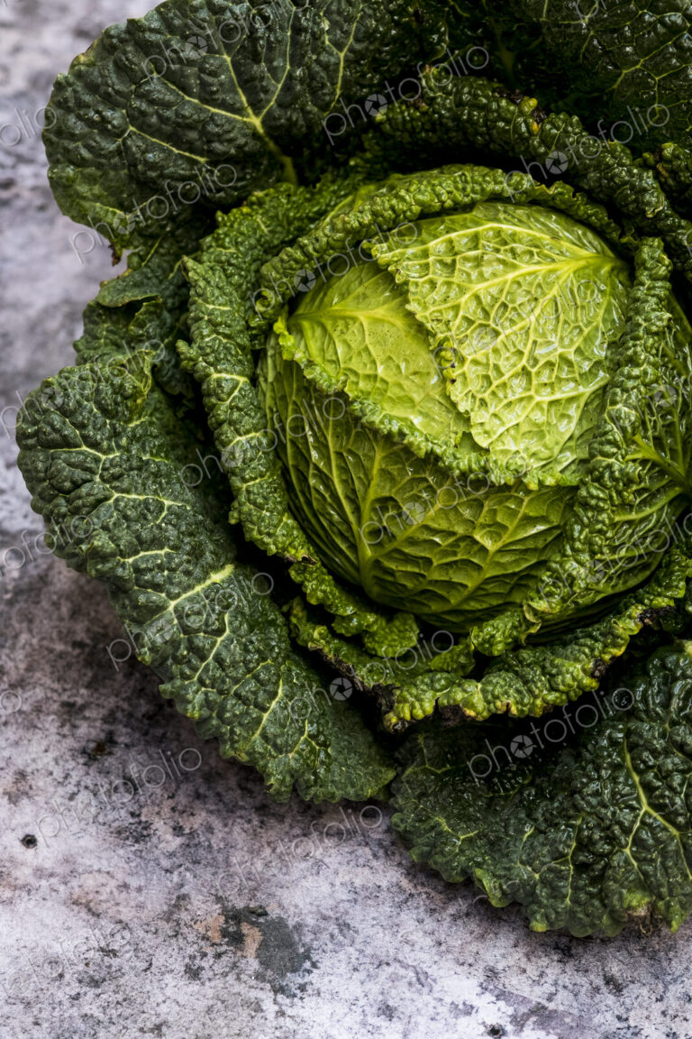 Still life, a fresh round green savoy cabbage