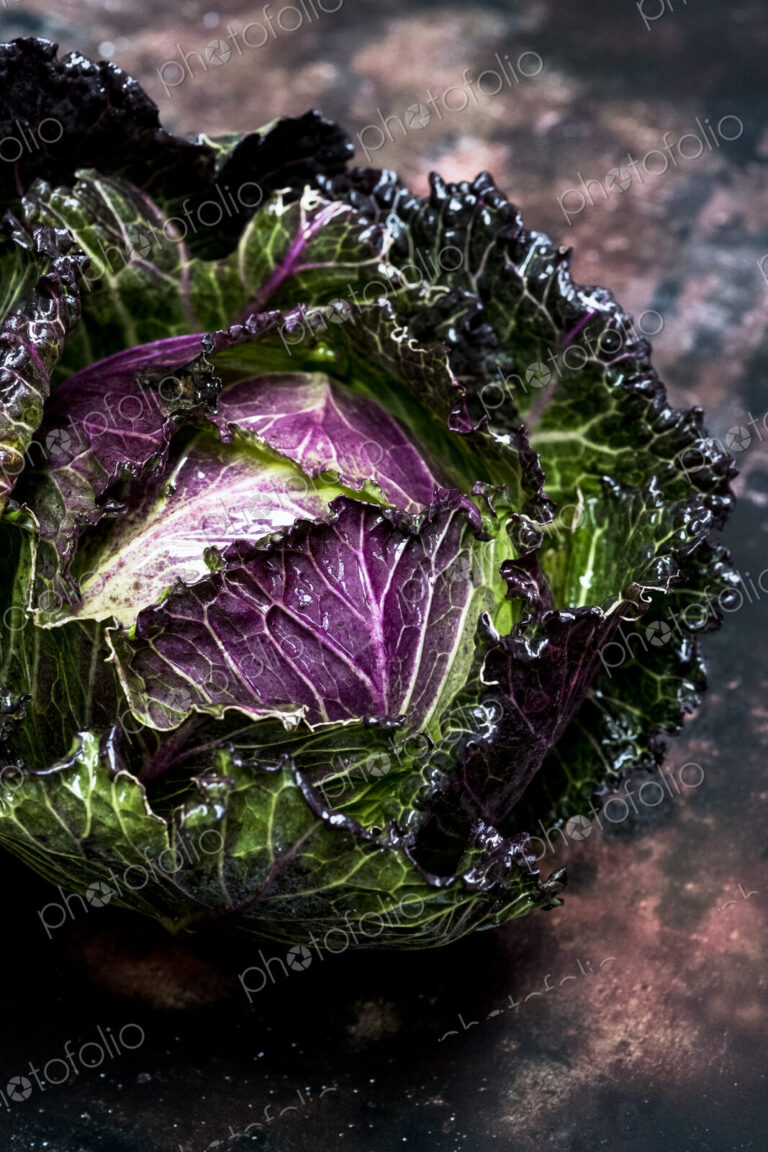 Still life, a fresh round green savoy cabbage with purple red leaves.