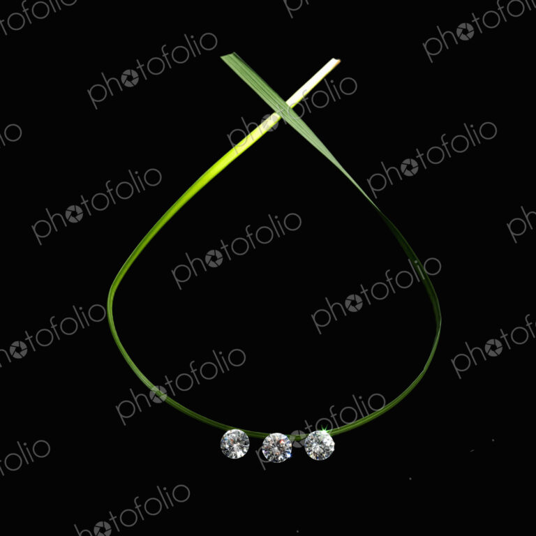 Still life. Green leaf foliage and decorations. A green leaf, thing and flat, in a…