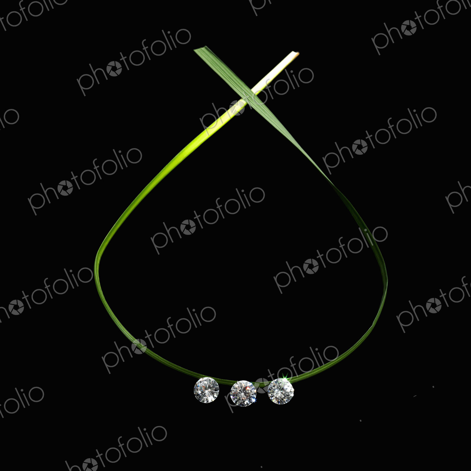 Still life. Green leaf foliage and decorations. A green leaf, thing and flat, in a…