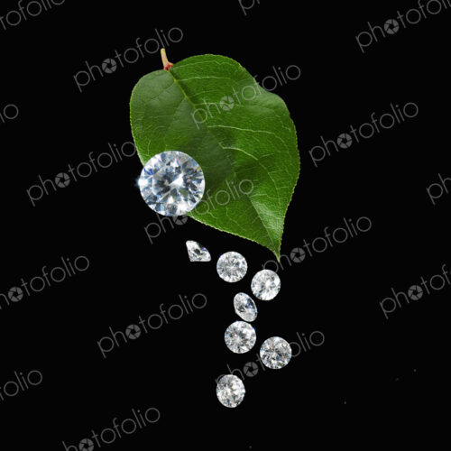 Still life. Green leaf foliage and decorations. A green leaf with vein markings. A… Still life. Green leaf foliage and decorations. A green leaf with vein markings. A…
