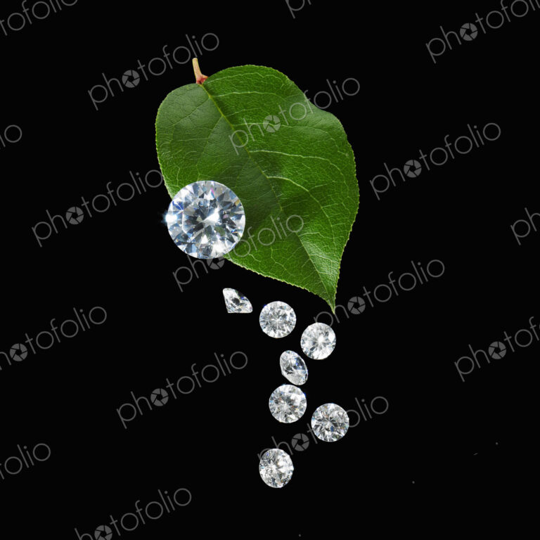Still life. Green leaf foliage and decorations. A green leaf with vein markings. A…