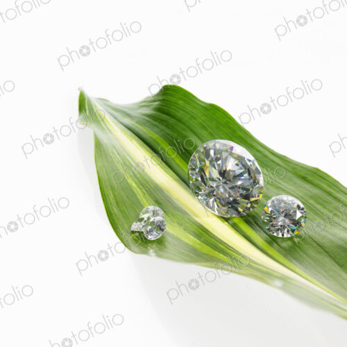 Still life. Green leaf foliage and decorations. A leaf with a stripe marking with… Still life. Green leaf foliage and decorations. A leaf with a stripe marking with…