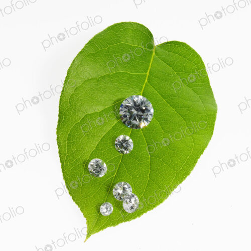 Still life. Green leaf foliage and decorations. A leaf with vein pattern with small… Still life. Green leaf foliage and decorations. A leaf with vein pattern with small…