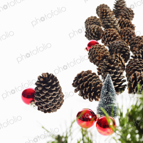 Still life. Green leaf foliage and decorations. A pine tree branch with green needles.… Still life. Green leaf foliage and decorations. A pine tree branch with green needles.…