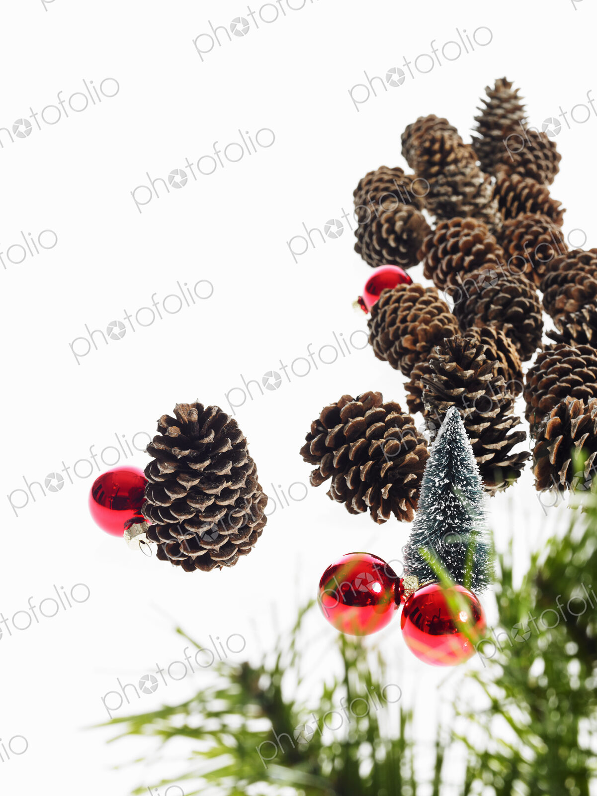 Still life. Green leaf foliage and decorations. A pine tree branch with green needles.…