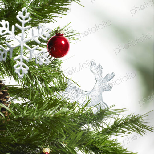 Still life. Green leaf foliage and decorations. A pine tree branch with green needles.… Still life. Green leaf foliage and decorations. A pine tree branch with green needles.…