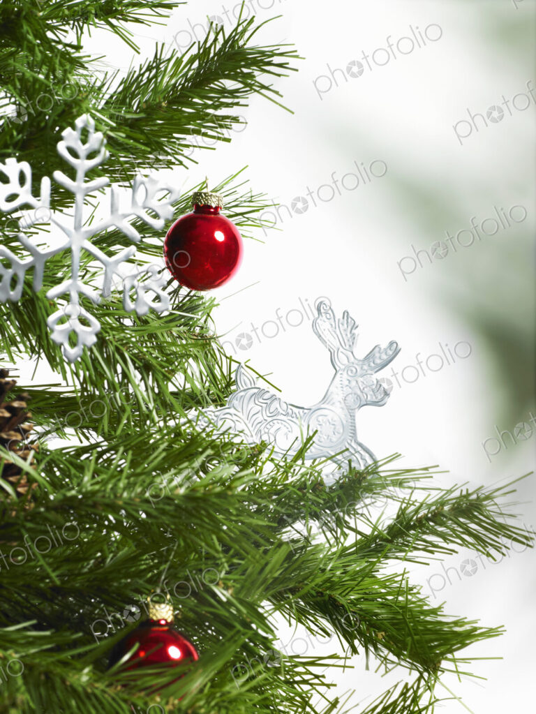 Still life. Green leaf foliage and decorations. A pine tree branch with green needles.…