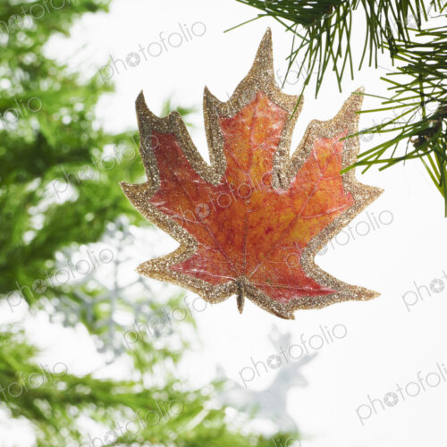 Still life. Green leaf foliage and decorations. A pine tree branch with green needles.… Still life. Green leaf foliage and decorations. A pine tree branch with green needles.…