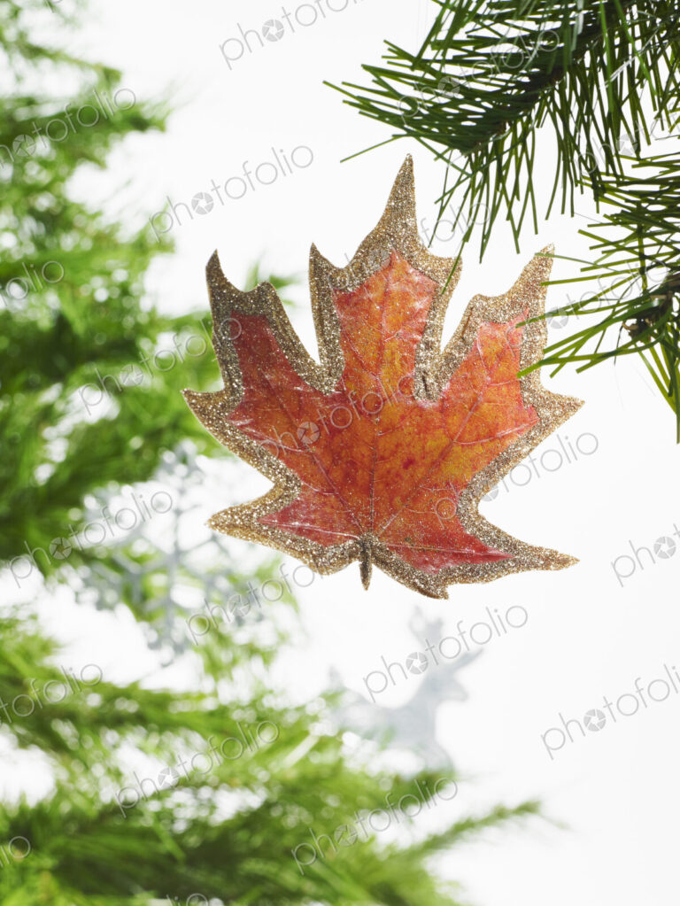 Still life. Green leaf foliage and decorations. A pine tree branch with green needles.…