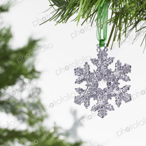 Still life. Green leaf foliage and decorations. A pine tree branch with green needles.… Still life. Green leaf foliage and decorations. A pine tree branch with green needles.…