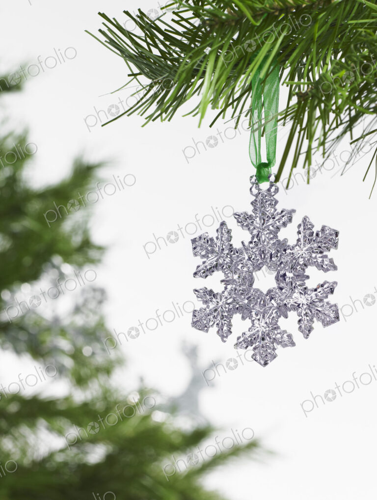 Still life. Green leaf foliage and decorations. A pine tree branch with green needles.…