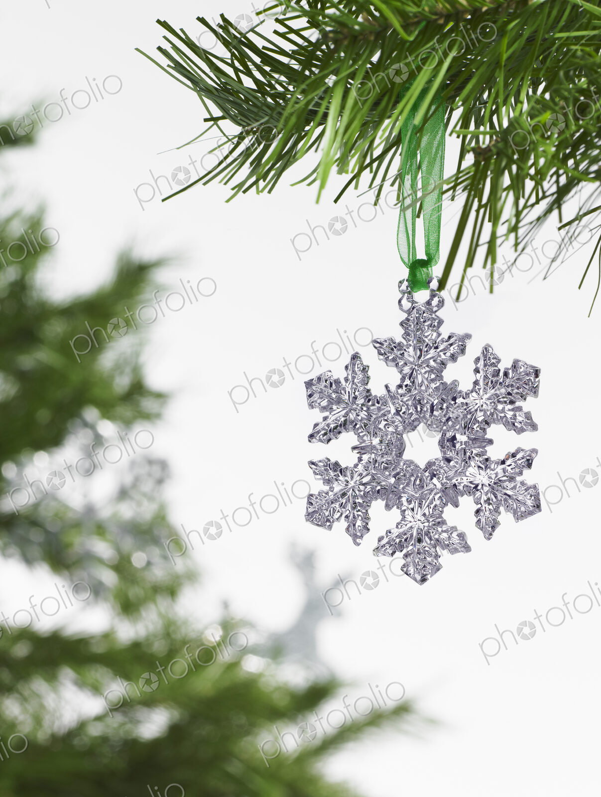 Still life. Green leaf foliage and decorations. A pine tree branch with green needles.…