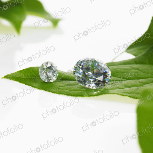 Still life. Green leaf foliage and decorations. A single leaf with veins, and a small… Still life. Green leaf foliage and decorations. A single leaf with veins, and a small…