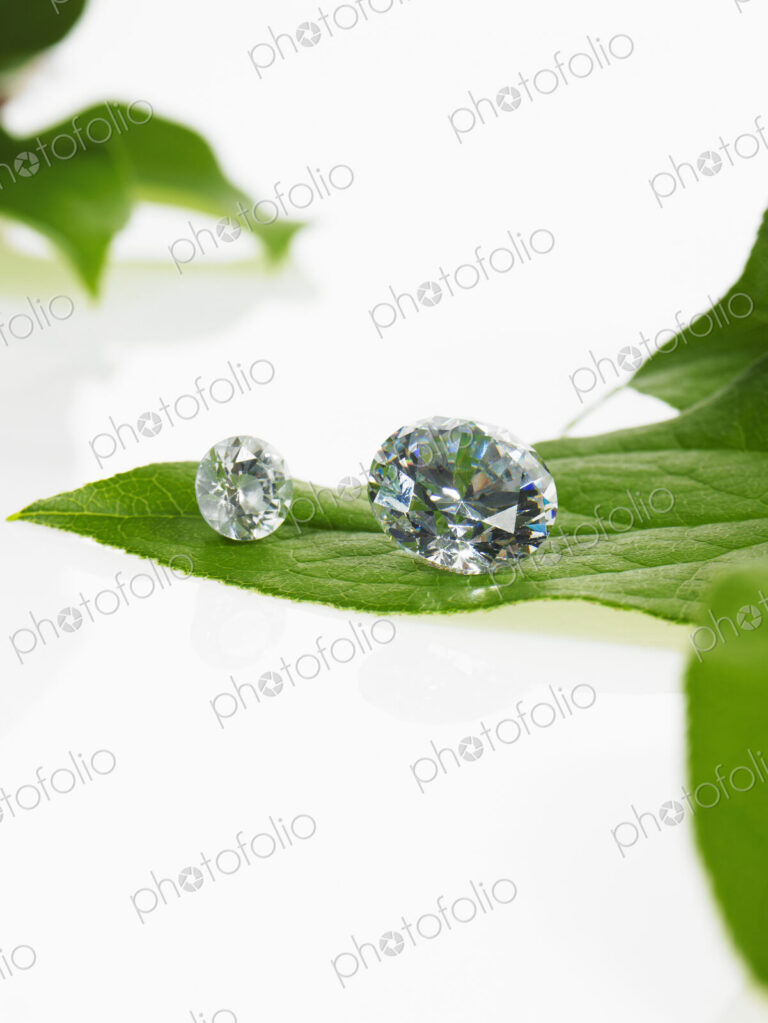 Still life. Green leaf foliage and decorations. A single leaf with veins, and a small…