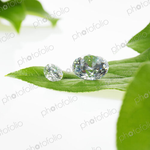 Still life. Green leaf foliage and decorations. A single leaf with veins, and small…