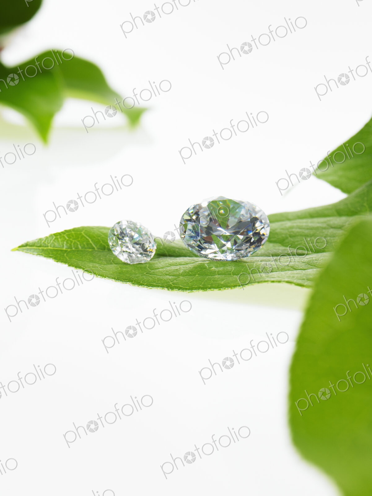 Still life. Green leaf foliage and decorations. A single leaf with veins, and small…