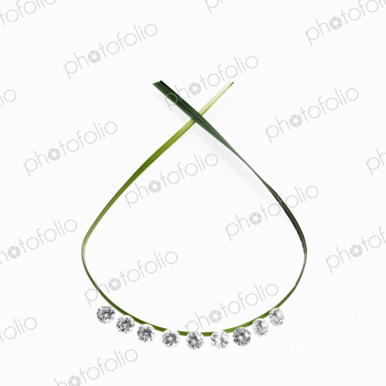 Still life. Green leaf foliage and decorations. A thin green strap leaf in a loop with…