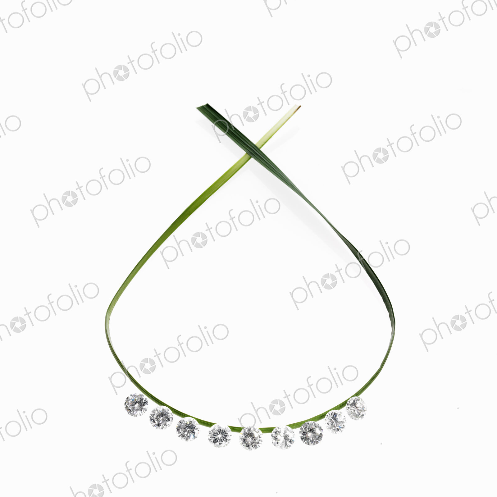 Still life. Green leaf foliage and decorations. A thin green strap leaf in a loop with…