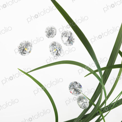 Still life. Green leaf foliage and decorations. Green strap leaves in a group, with… Still life. Green leaf foliage and decorations. Green strap leaves in a group, with…