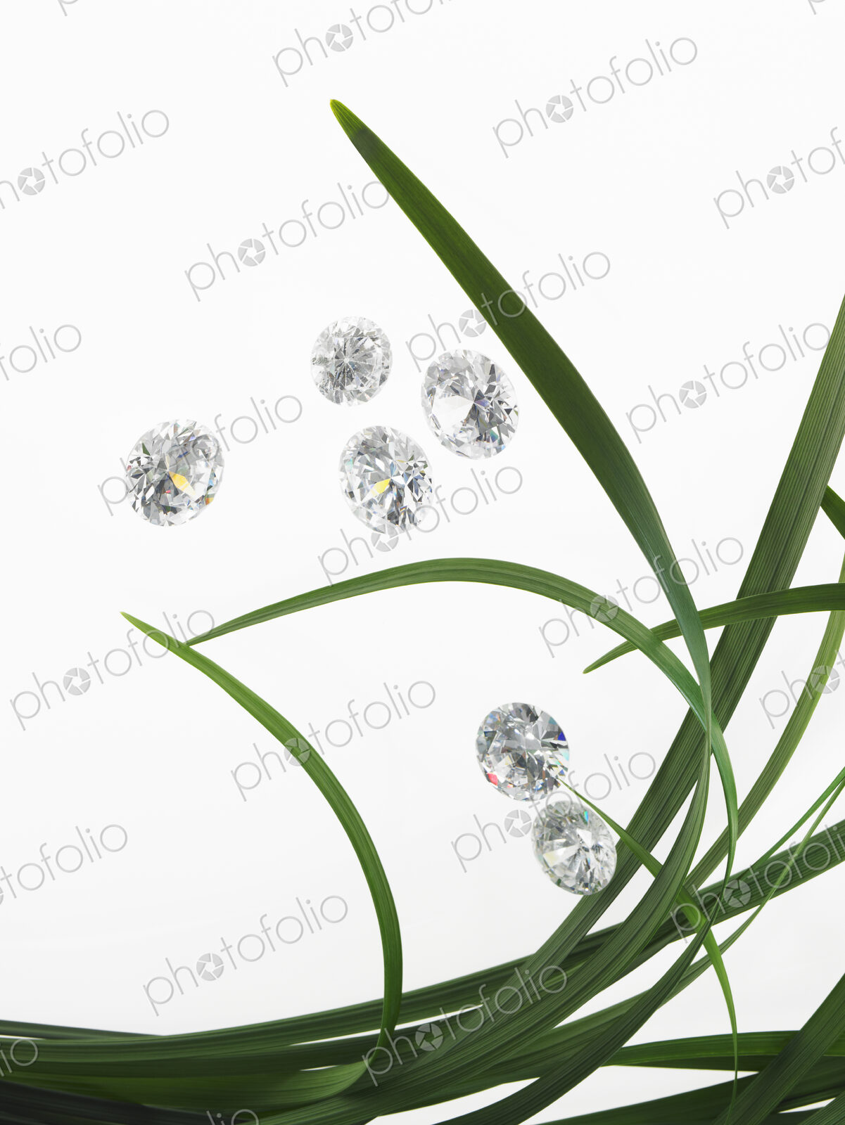 Still life. Green leaf foliage and decorations. Green strap leaves in a group, with…