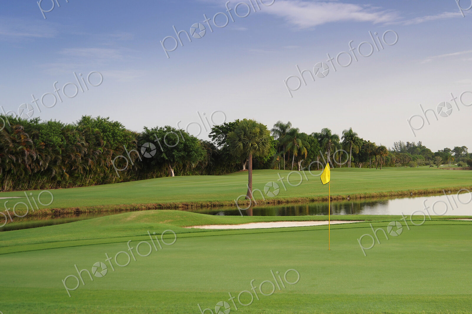 Still pond on golf course