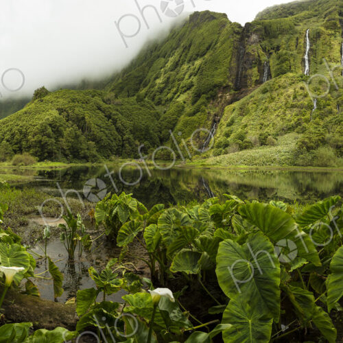 Still river in lush remote landscape