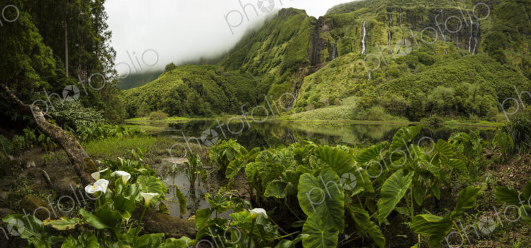 Still river in lush remote landscape