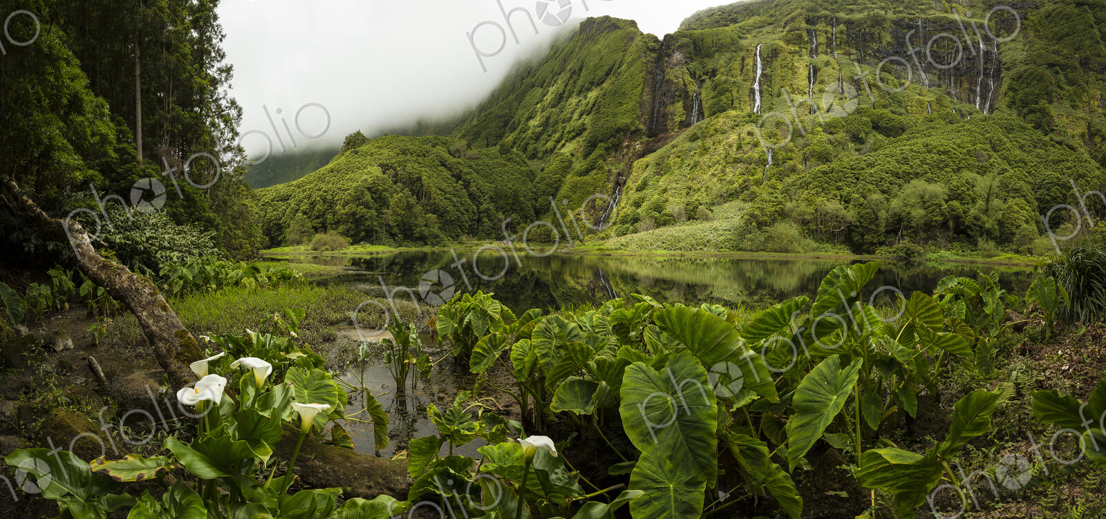 Still river in lush remote landscape