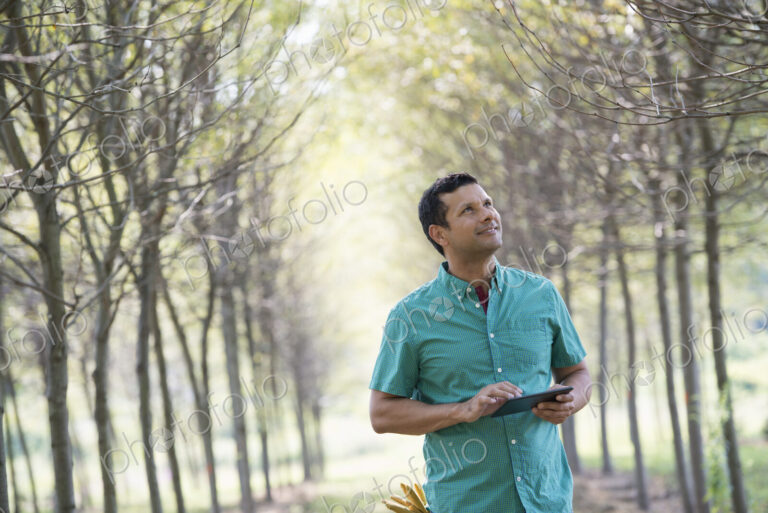 Stock image 12450