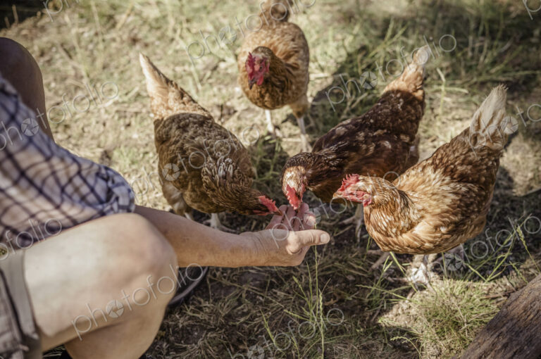 Stock image 14541