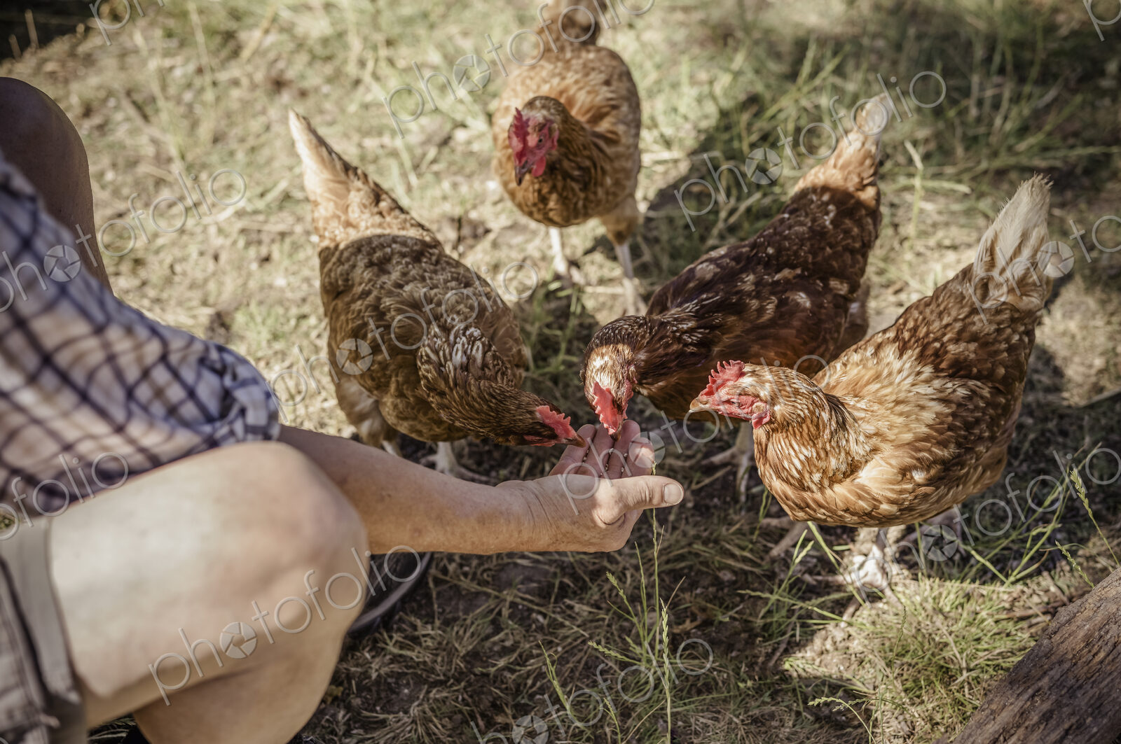 Stock image 14541