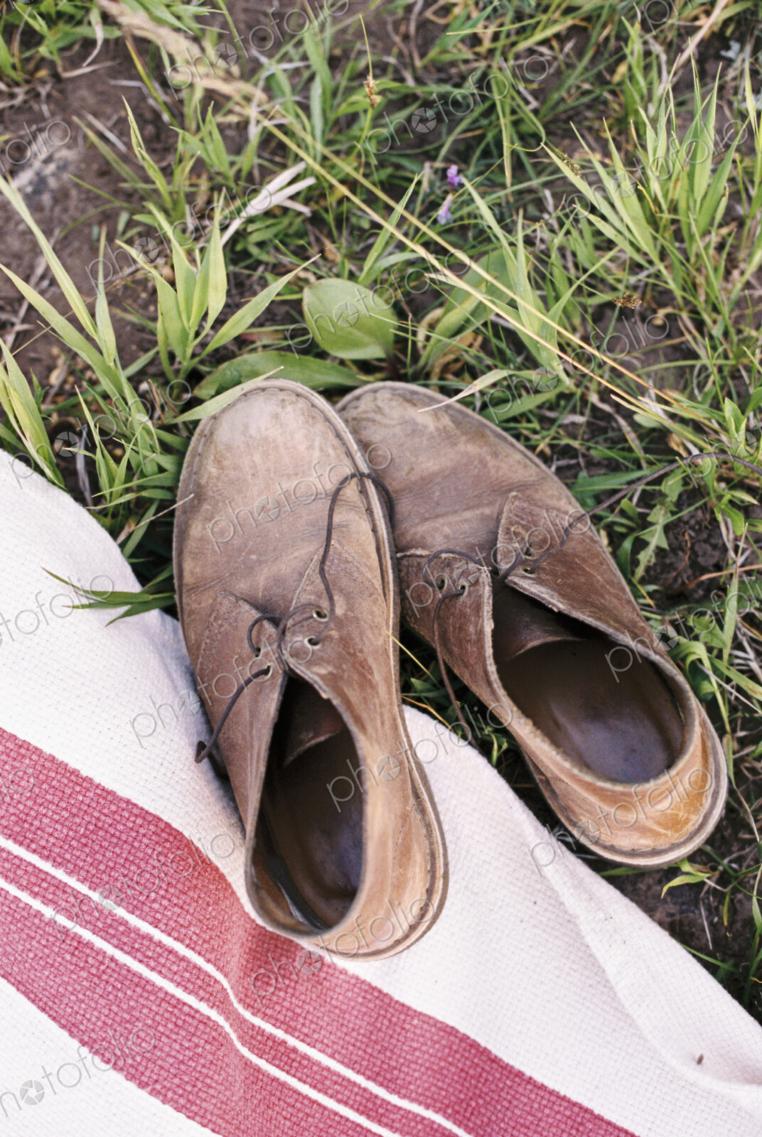 Stock image 18055