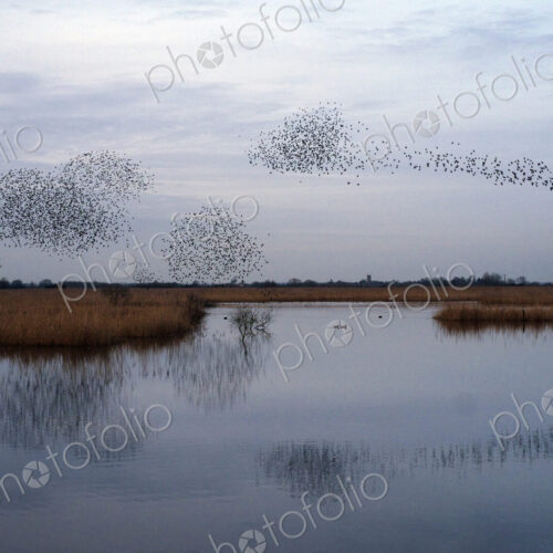 Stock image 20156